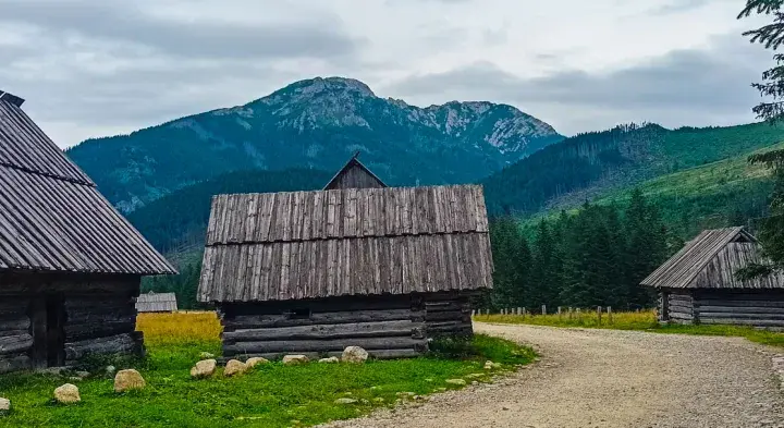 Bacówka Dolina Chochołowska: historia, oscypki i atrakcje turystyczne w Tatrach